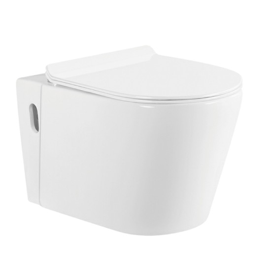 IVEDENJE INTELIGNIGA WC